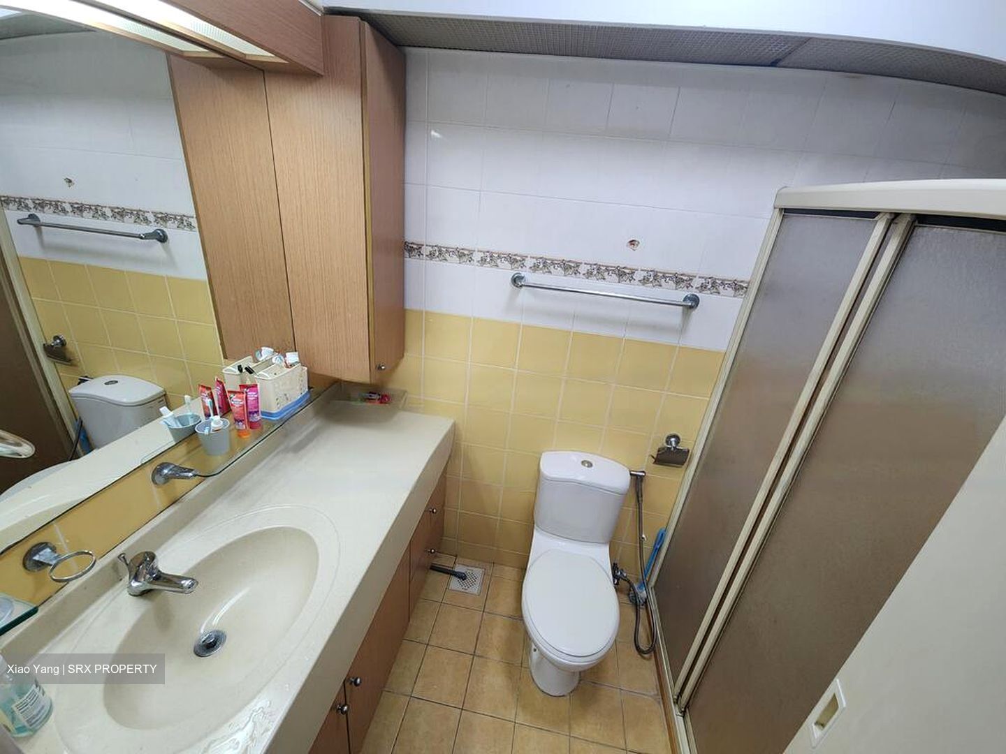 Blk 388 Goodview Gardens (Bukit Batok), HDB 5 Rooms #503050711